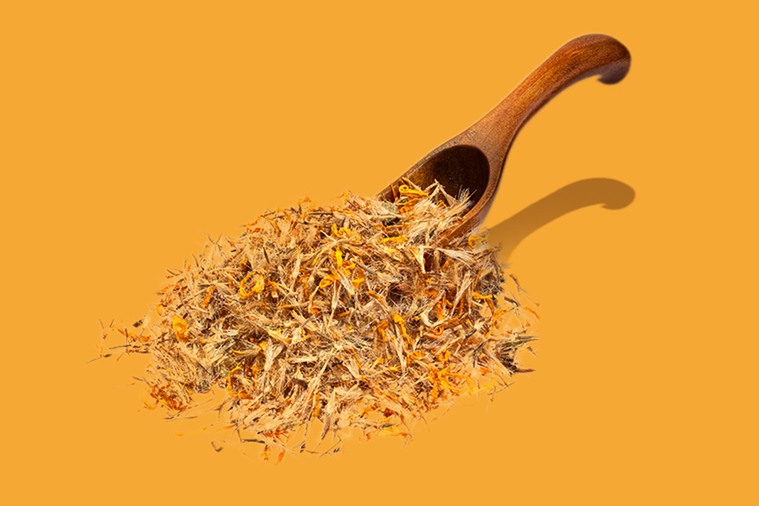 Spoon of dried arnica flowers on orange background, detailing benefits and uses of arnica in skincare